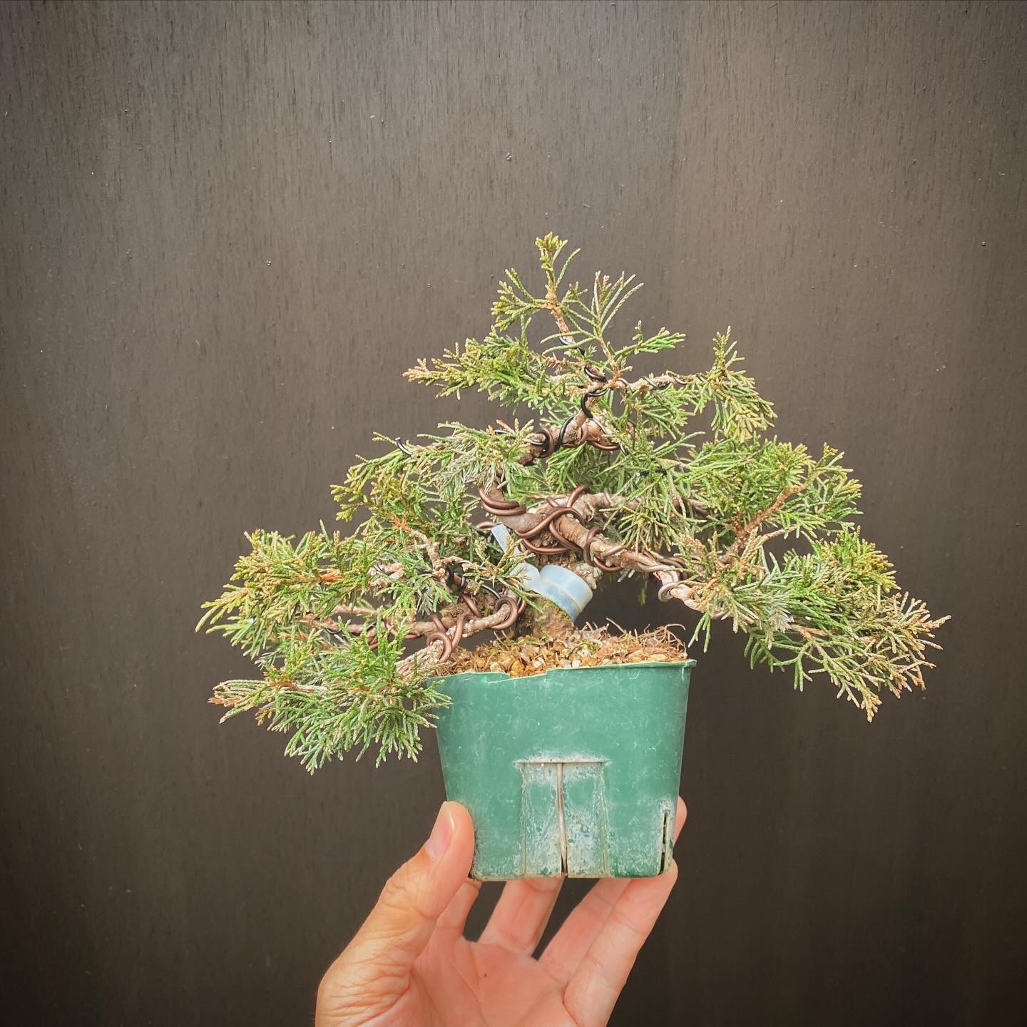 C332BA00-8691-4FEC-9AC9-